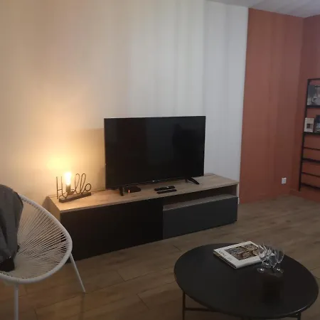 Entre 2 Ponts Appartement Albi